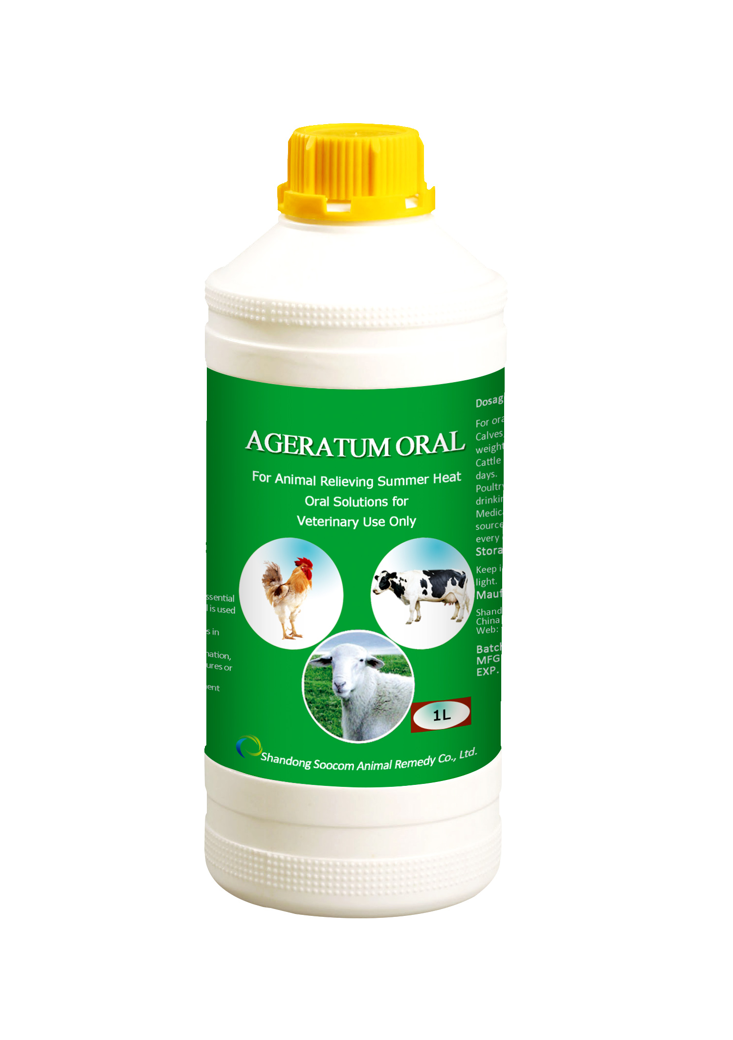 Ageratum Oral