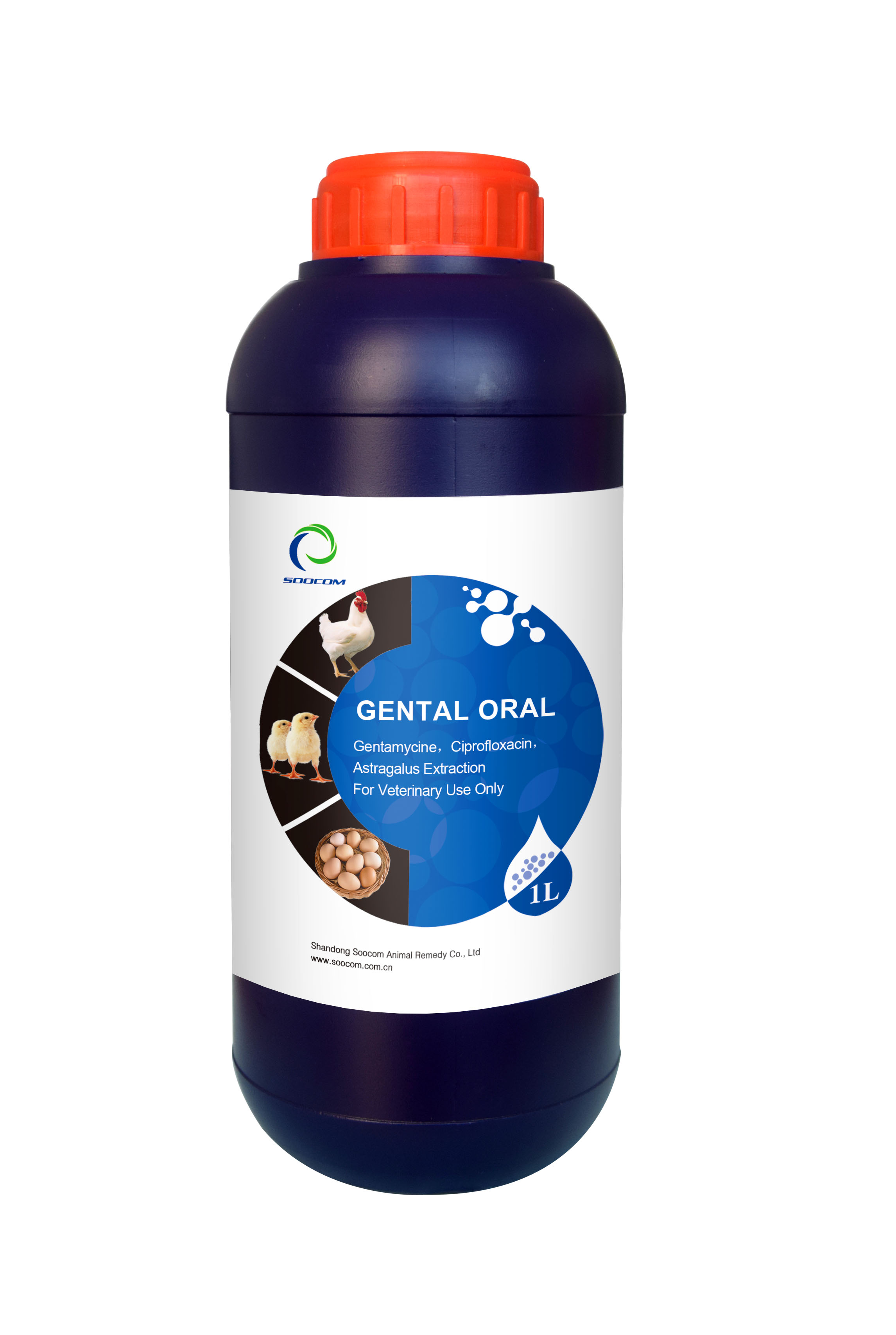 GENTAL ORAL